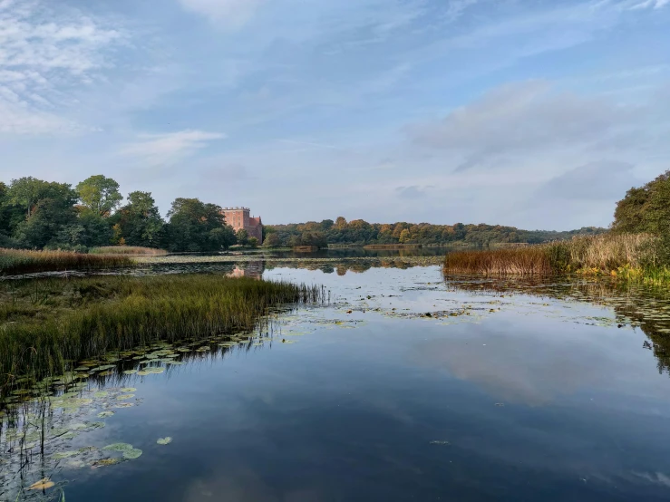 trees and bushes are reflected in the water