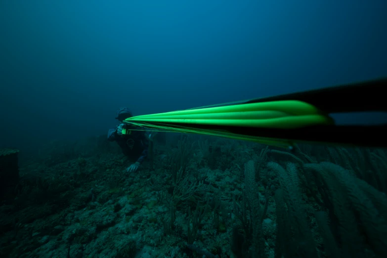 a person wearing scuba gear holding up a green paddle