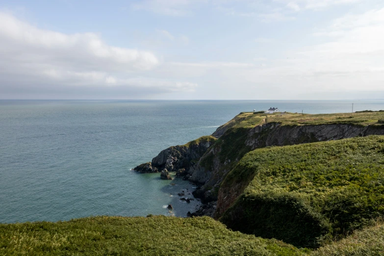 a scenic s of a cliff, ocean and sheep