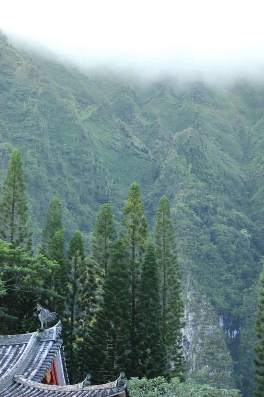 a po of mountains and the woods in the background