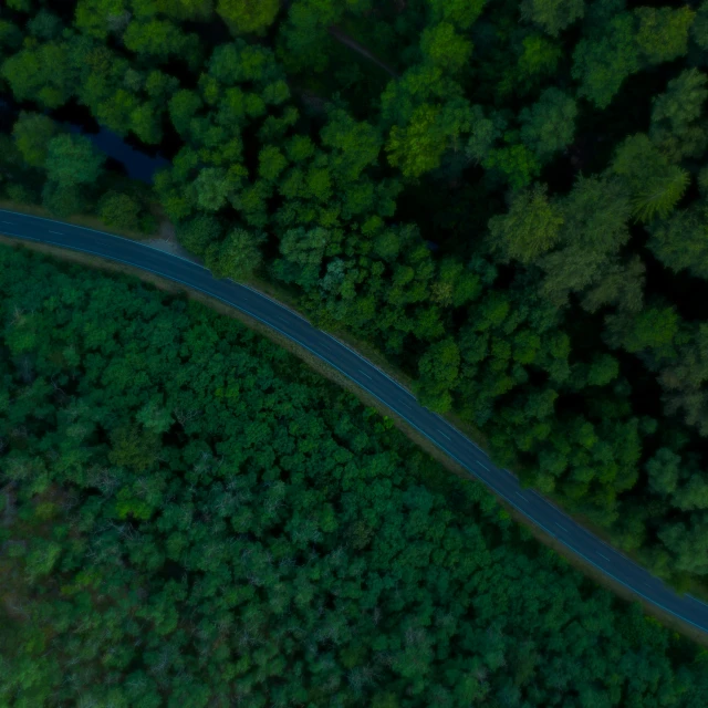 an aerial s of an open road passing through the woods