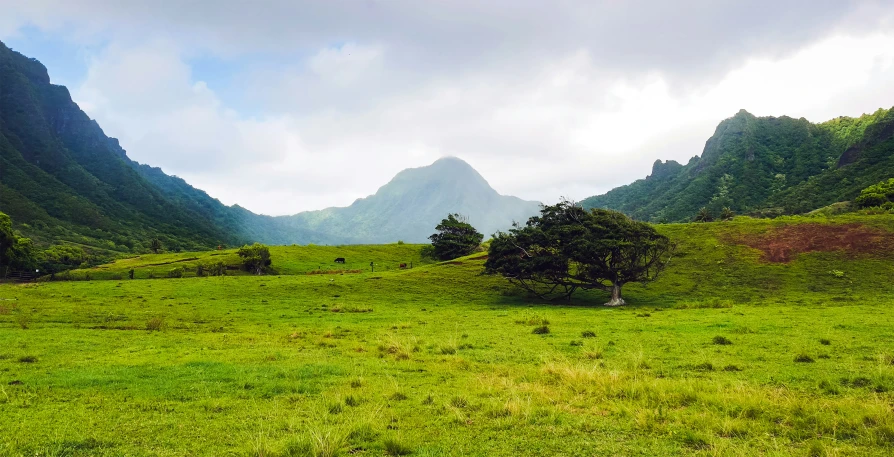 a mountain range that is surrounded by grass