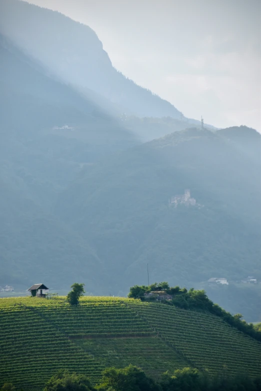 a rural landscape is shown with the hills covered in mist