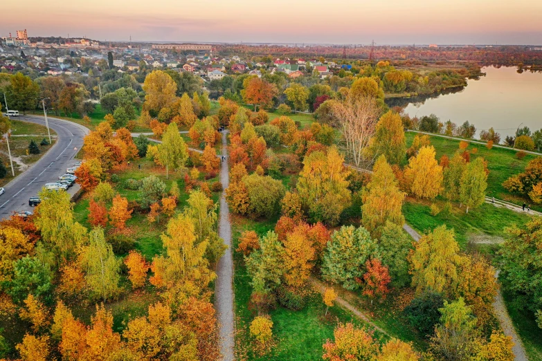 a road is seen surrounded by trees near the water