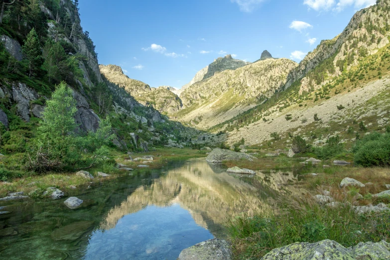 the canyon has trees and vegetation around it