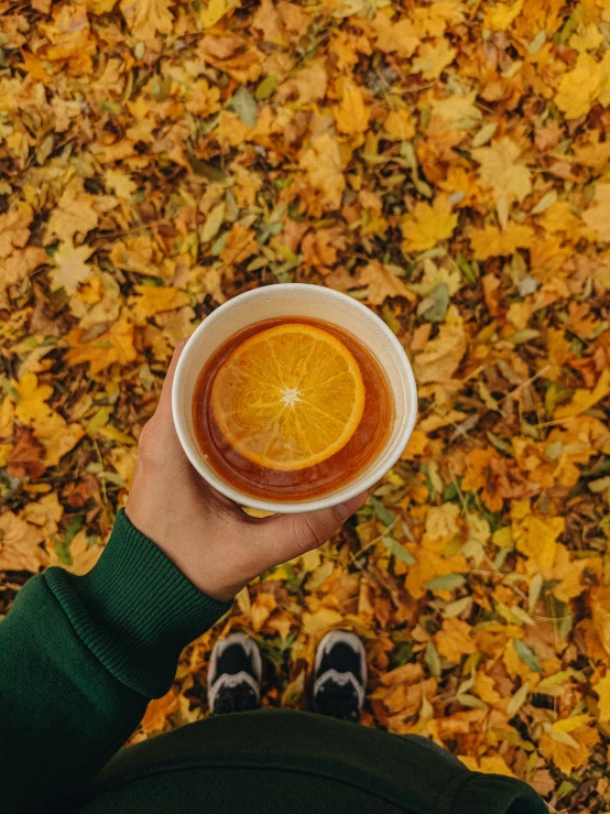 person holding cup of coffee above leaves in park