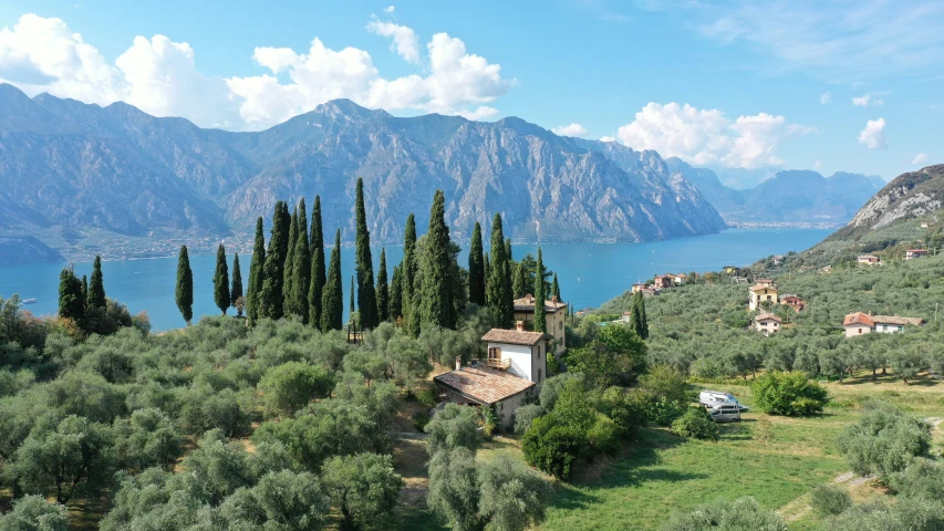 an olive grove and a small church on a mountain overlooking a lake