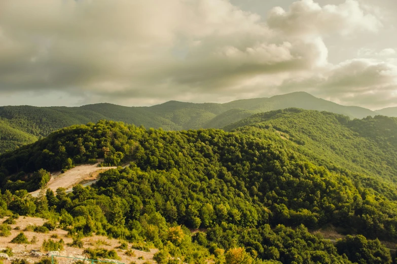 some mountains and trees under cloudy skies