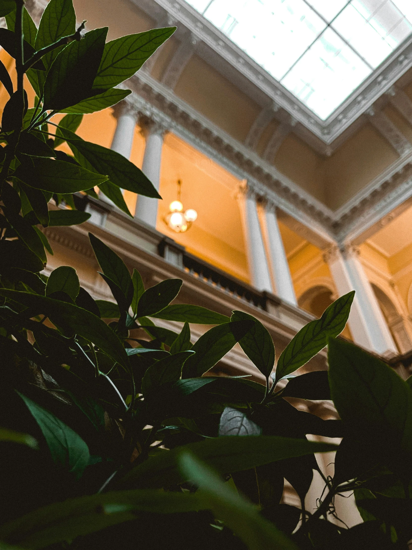 a light hanging from the ceiling above the planter