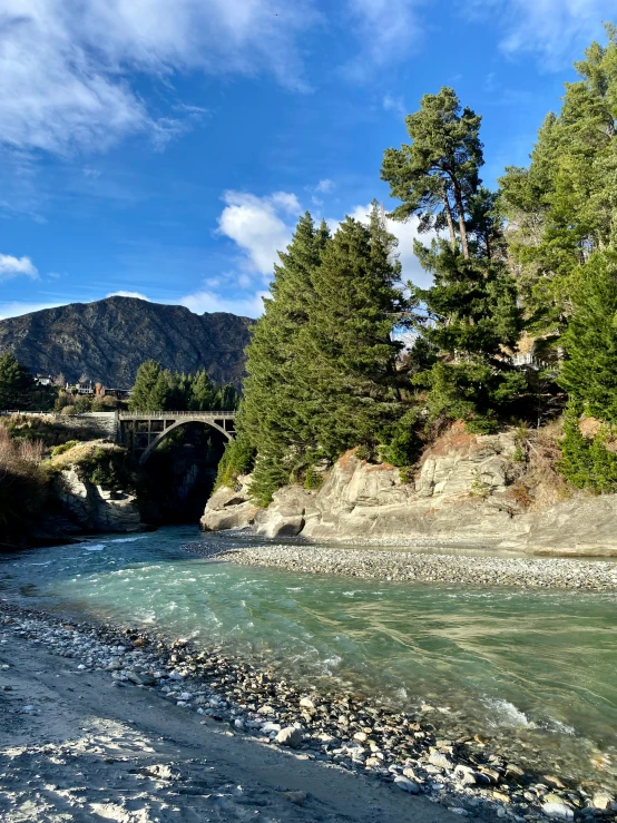 a rocky river flowing between two green forest trees