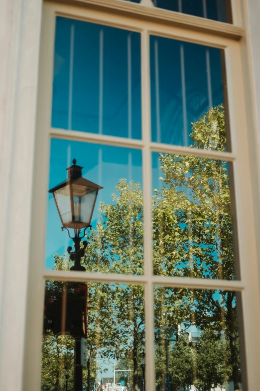 an open window shows the city trees reflected in the glass