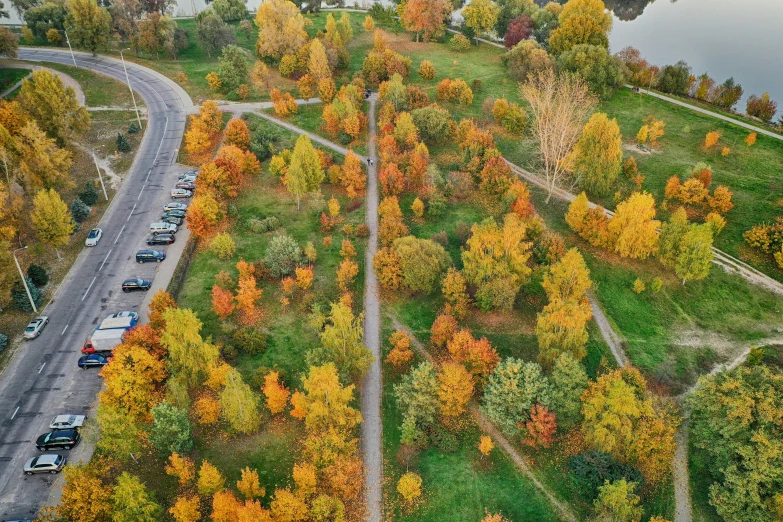 an aerial view of the highway and a river surrounded by trees in autumn