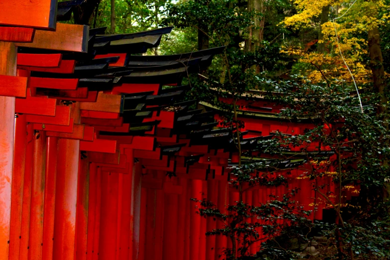 many red gates and trees next to each other