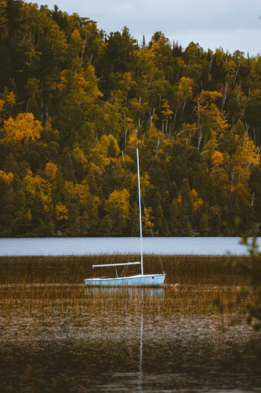 a small boat floating in the water near trees