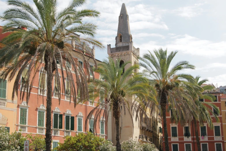 a church steeple rises above palm trees in an open city