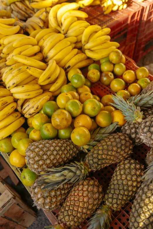 bananas, pineapples and other fruits are on display