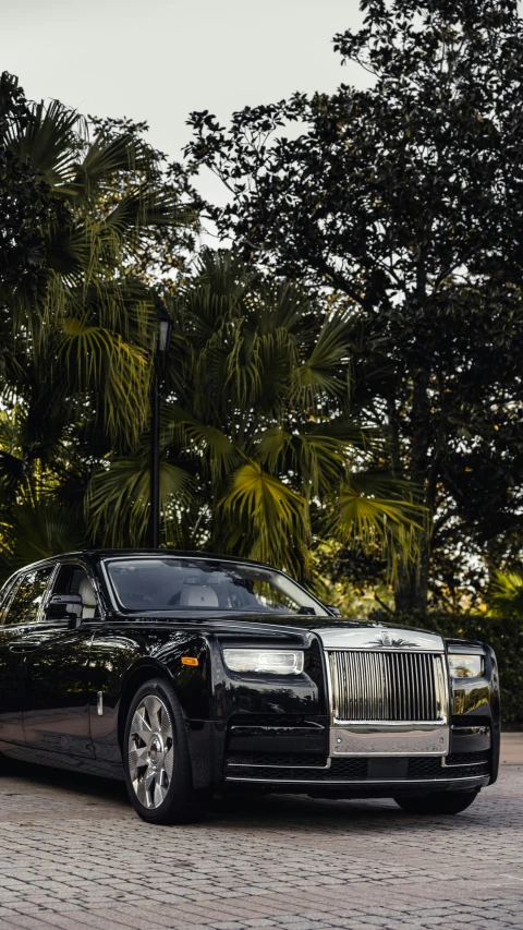 a black limo is parked in front of some trees