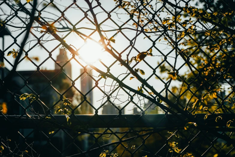 the sun peeking through a chain link fence