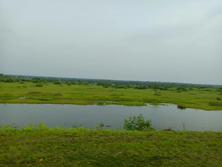 a body of water is near green field