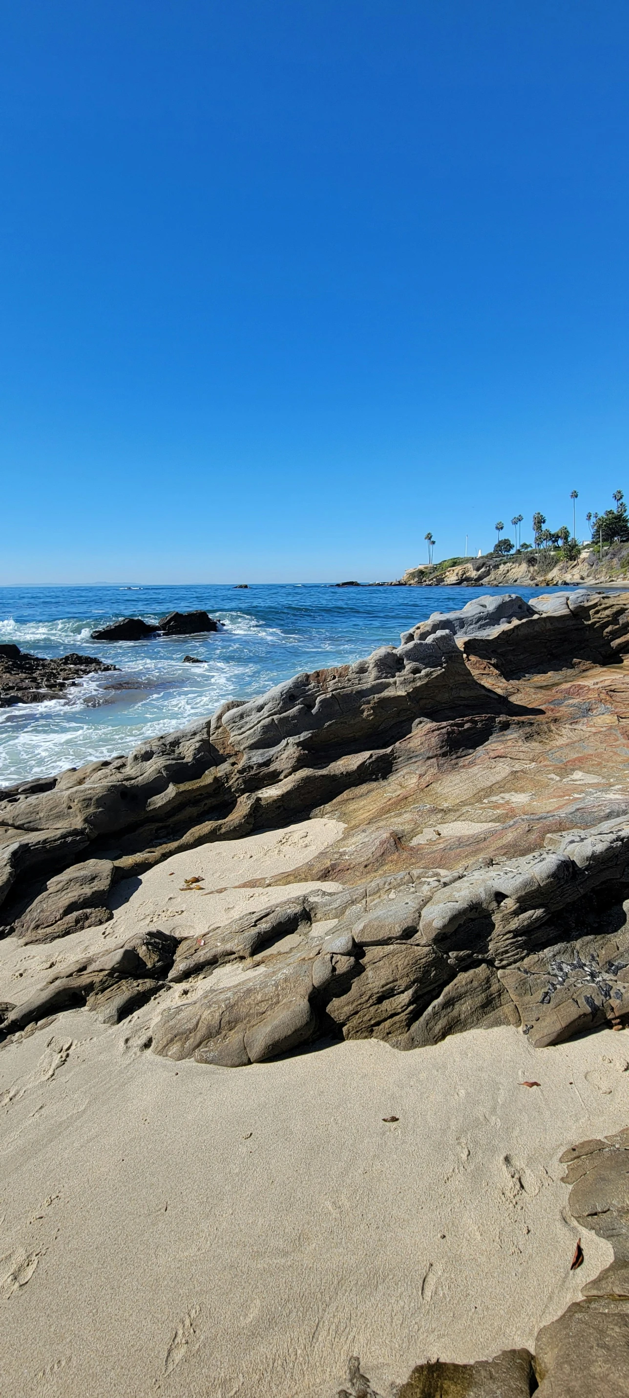 a surf boarder rides up a rock formation by the ocean