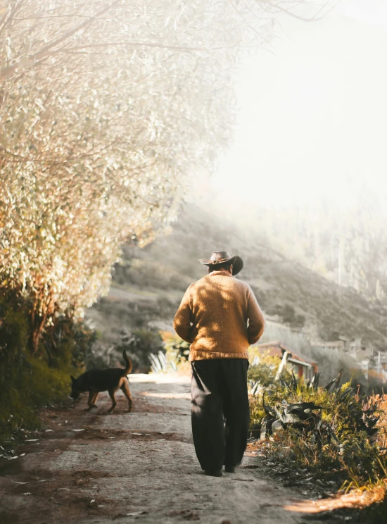 man jogging down a hill with his dog following behind