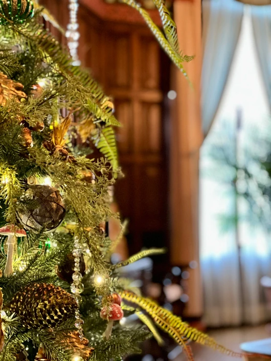 a beautiful christmas tree in a very big room