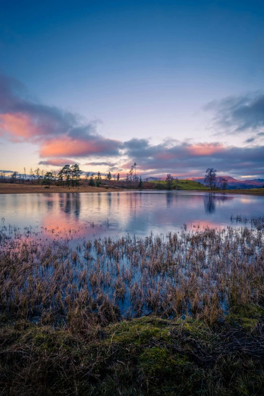 a large pond with water plants and sky above