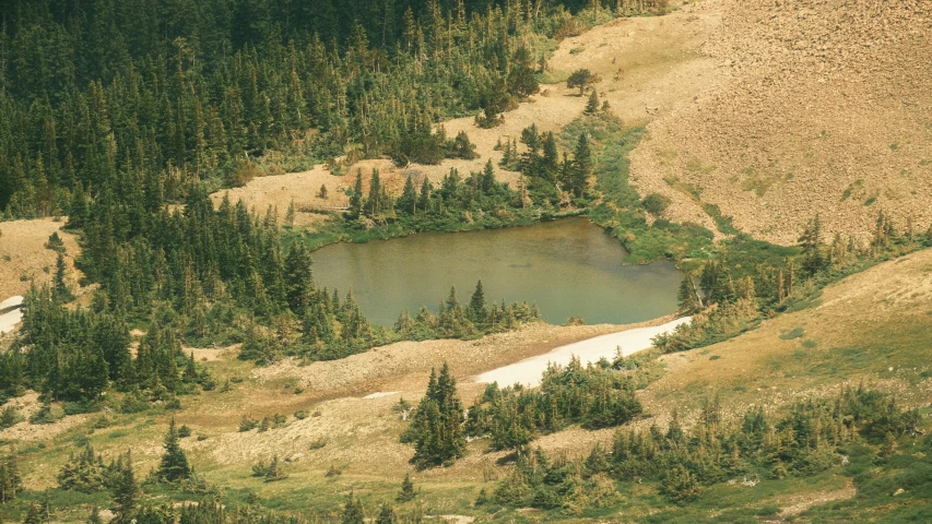 an aerial po shows an area with trees and water