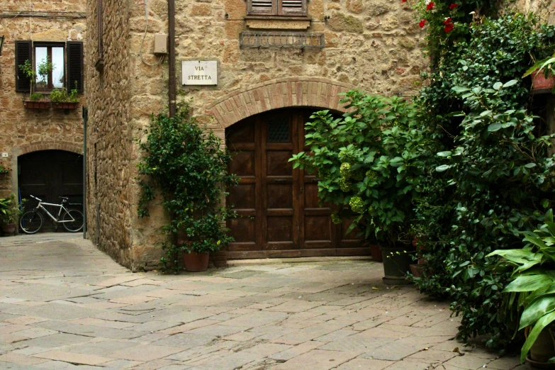 a very narrow courtyard with some plants and a bike