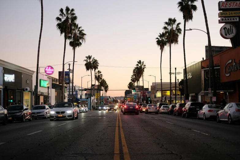 a city street with palm trees, parked cars and buildings