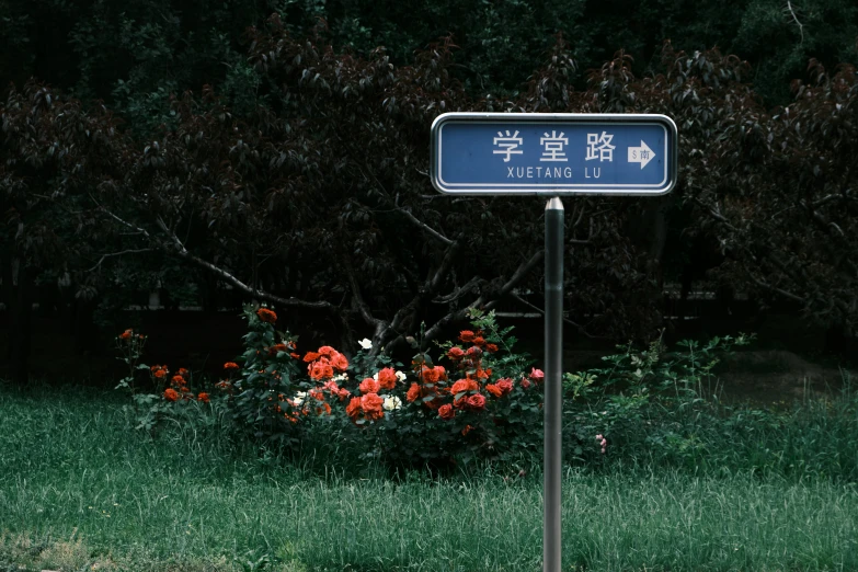 a street sign on a pole with flowers behind it