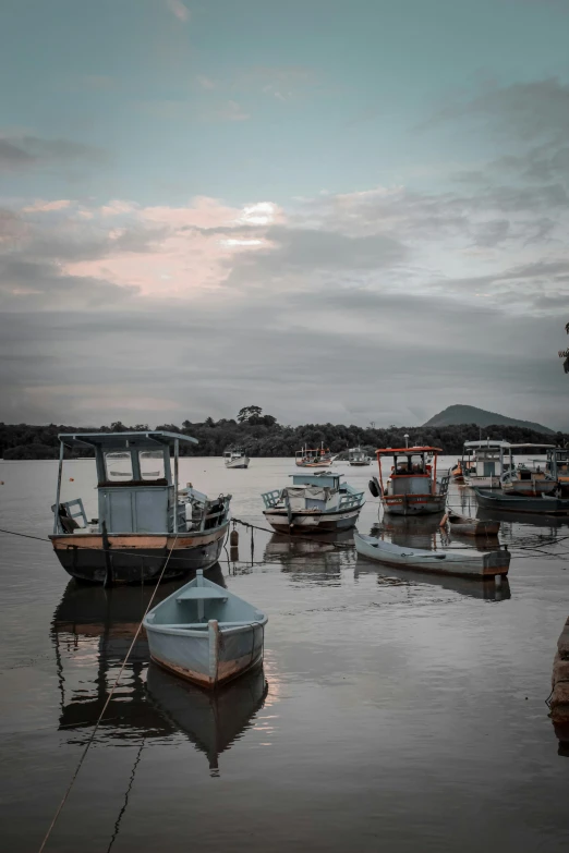 several boats are docked in the water