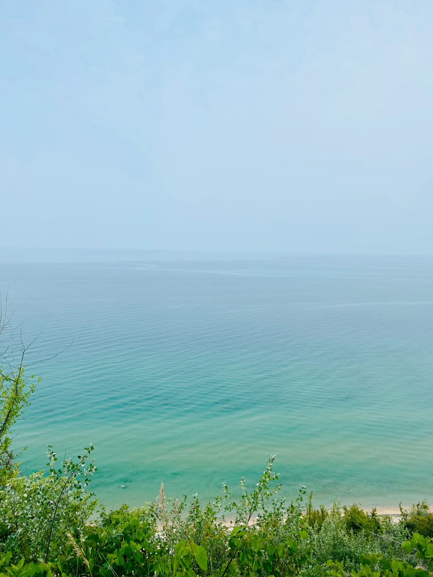 a bench is sitting on the grassy cliff by the water