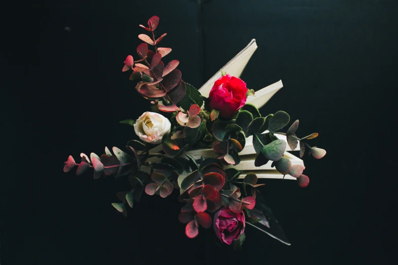 flowers and greens with purple leaves on black background