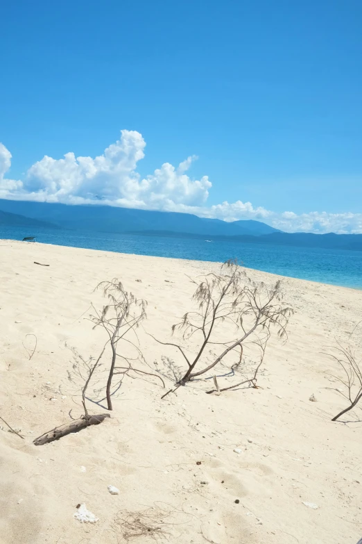 an empty beach with water and clouds in the background