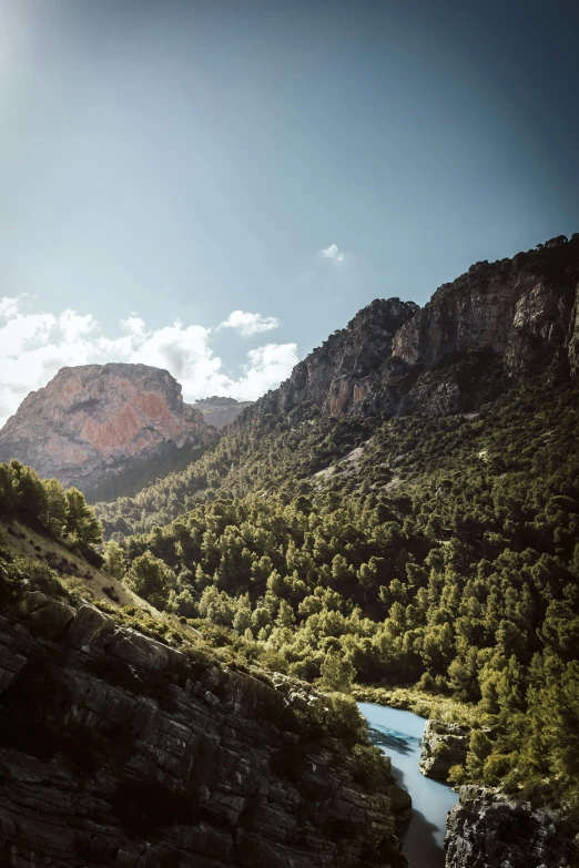 there are some mountains with trees on them