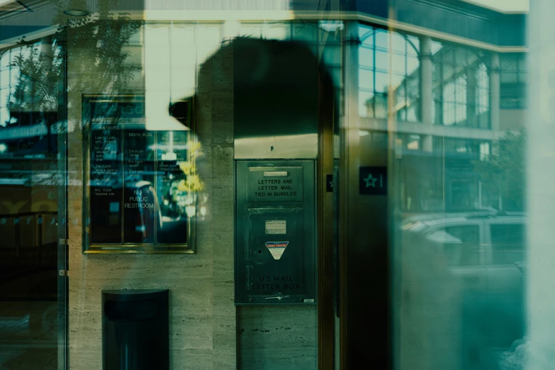 a large brown bear is walking outside a building