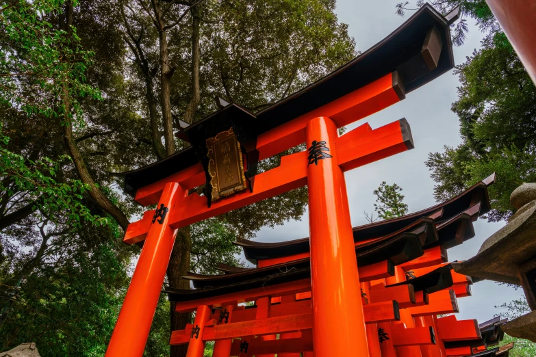 an orange gate sitting in the middle of the forest