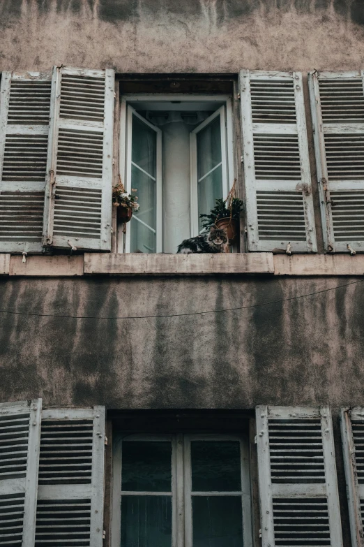 three windows with open shutters next to each other