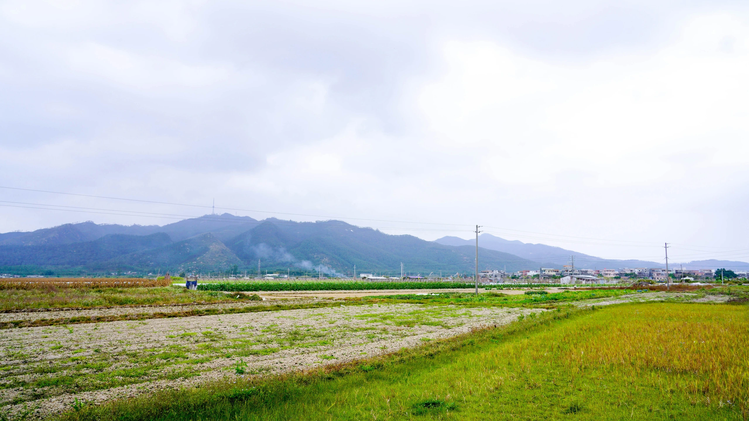 grass and dirt fields near a field with mountains