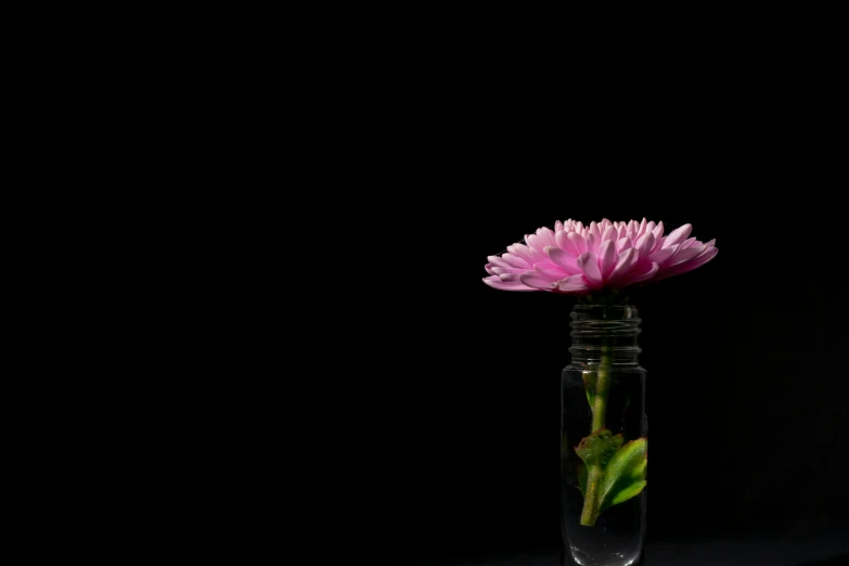 the pink flower is in a small glass vase