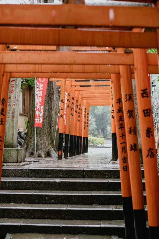 a group of tall orange wooden buildings under trees