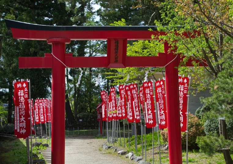 red signs on display at an oriental park