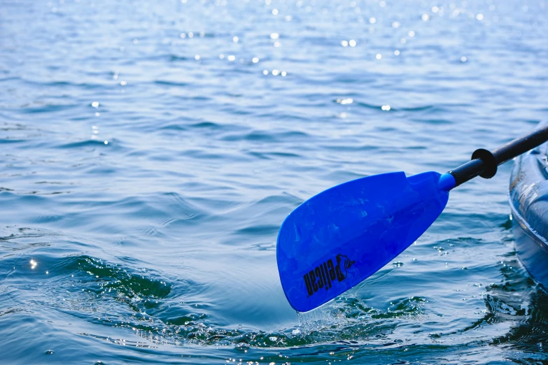 blue paddle lying on the water next to a boat