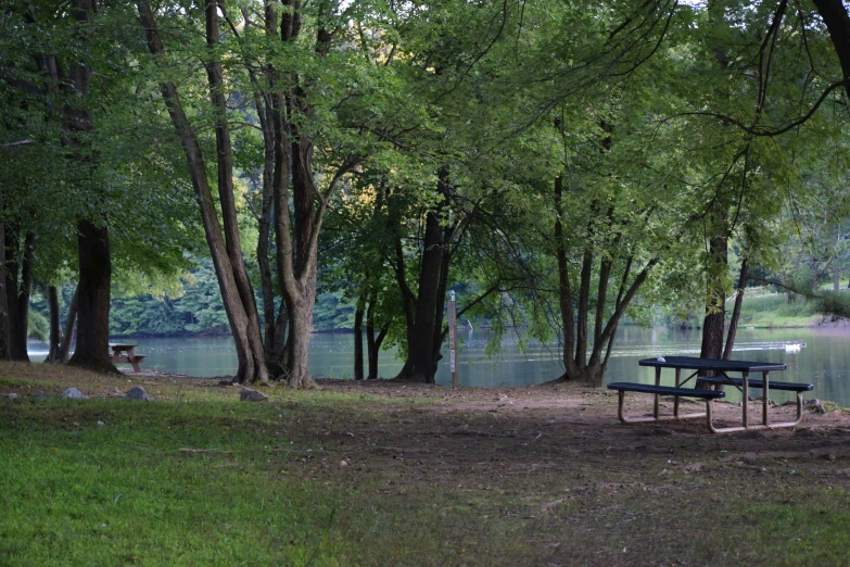 a picnic table in the middle of an area that is filled with trees