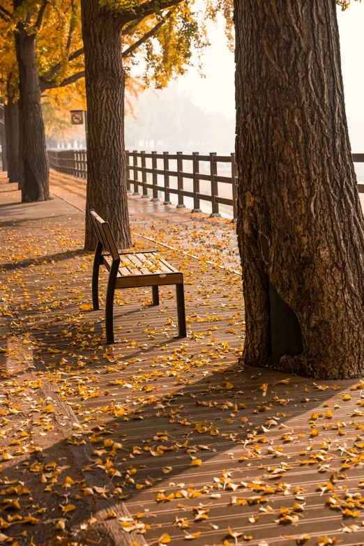 a wooden bench sitting in the middle of a park