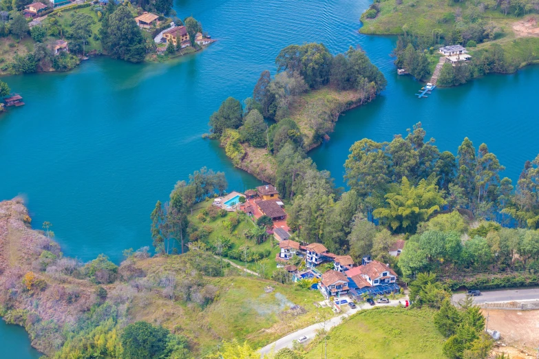 aerial view of an area of many trees surrounding a house