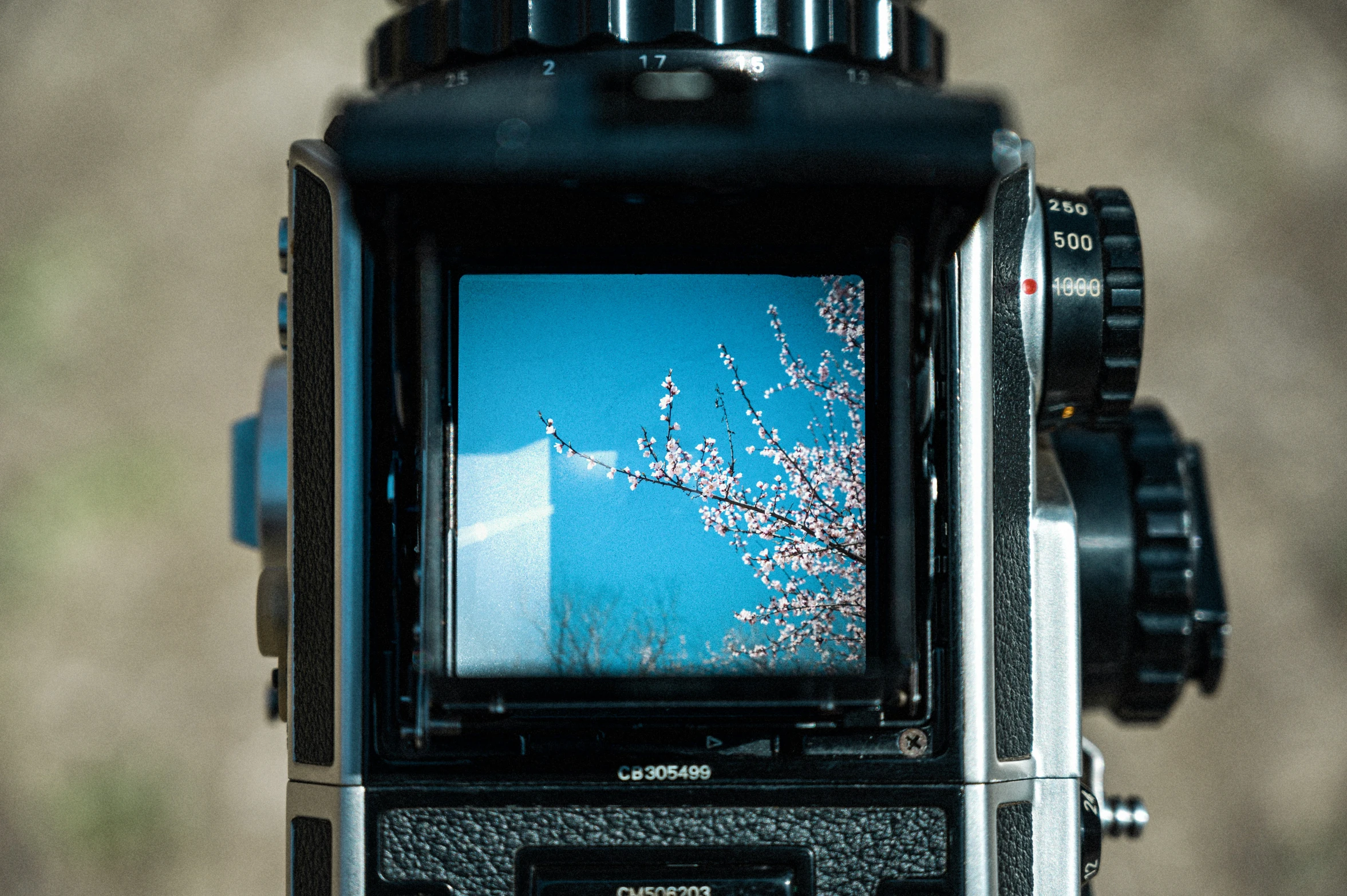 a camera showing a tv with a red cherry tree