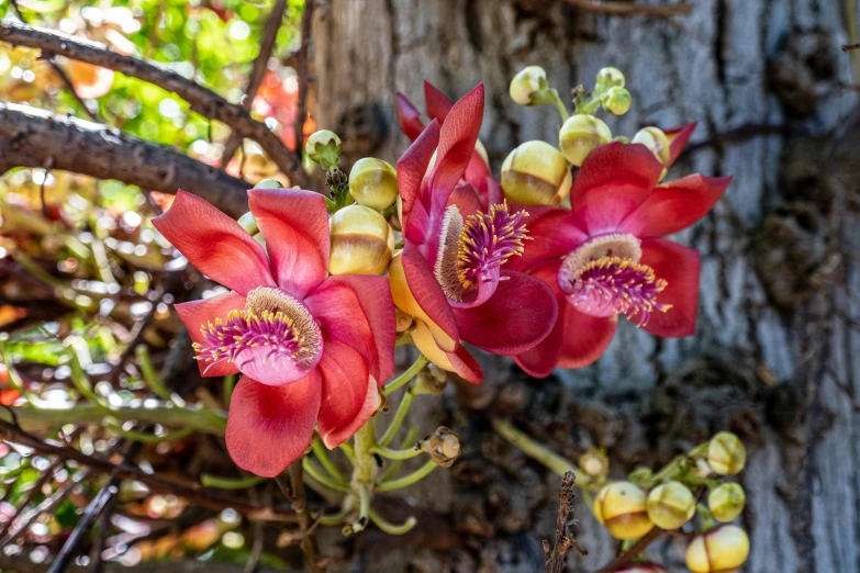 a bouquet of flowers sitting next to a tree