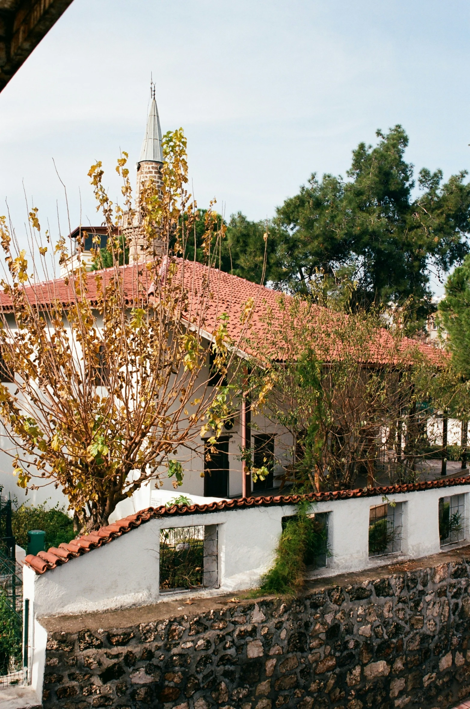 a building that has some plants growing on it